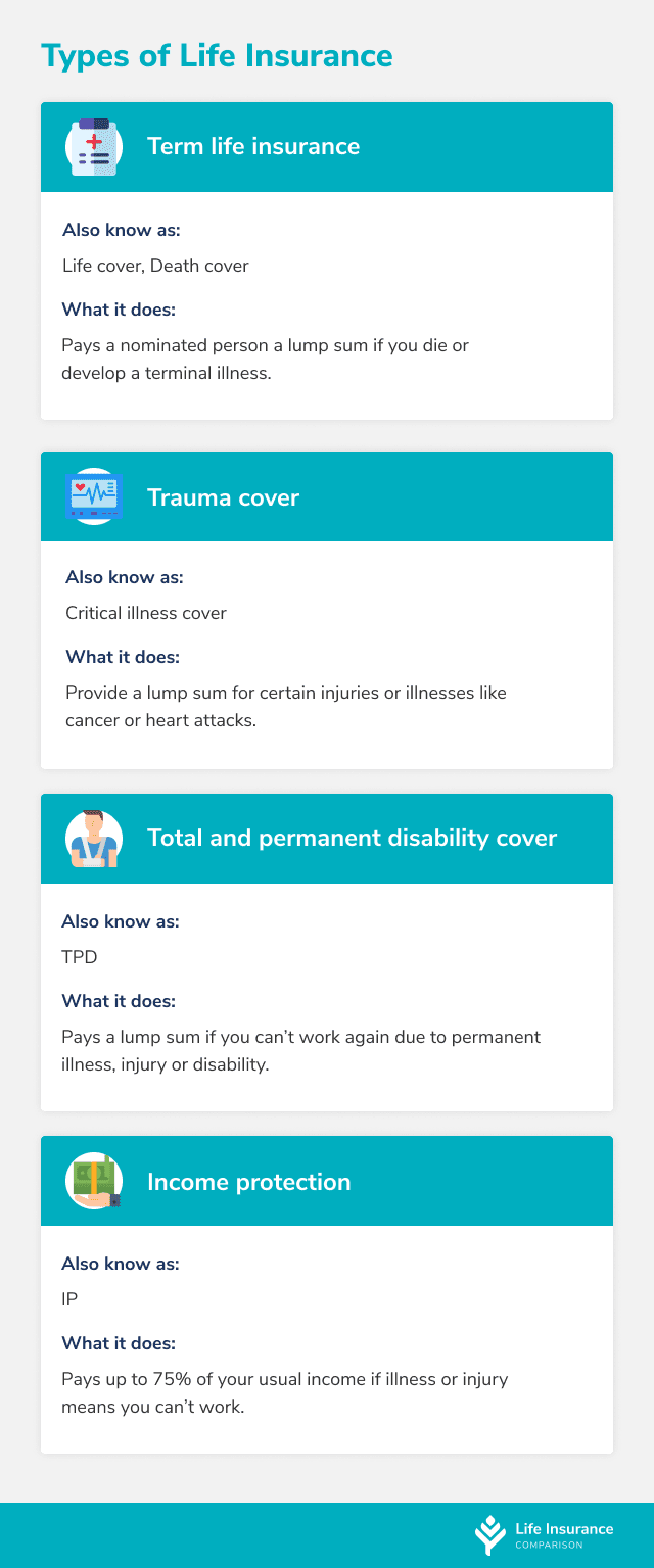 Chart that clearly shows the differences between different types of life insurance.